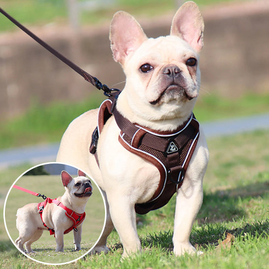 harnais-pour-chien-dog-harnais-brun-rouge