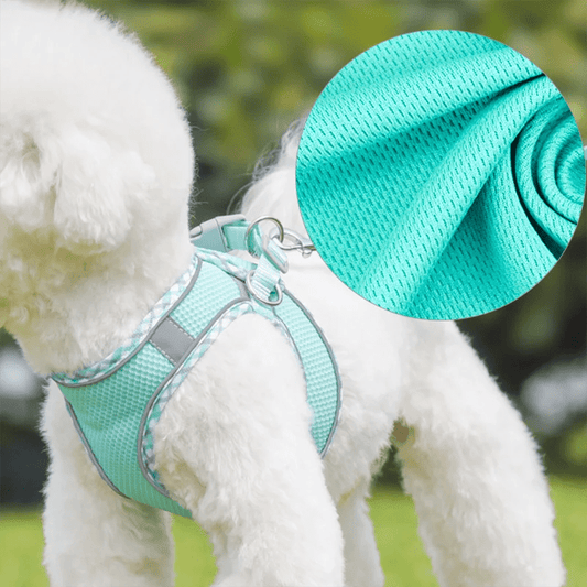 harnais-pour-chien-dogharness-bleu-blanc-chien