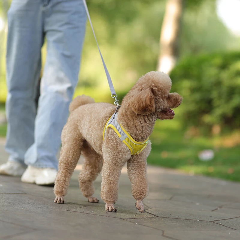 harnais-pour-chien-dogharness-jaune-marche-chien
