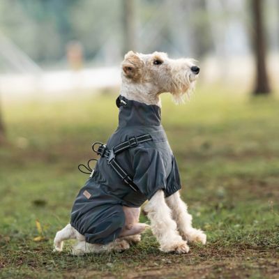 Imperméable pour chien confpluie gris assis chien