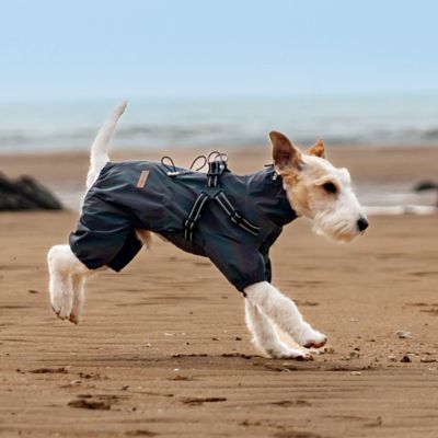 Imperméable pour chien confpluie gris courir chien