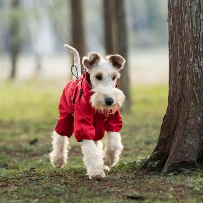 Imperméable pour chien confpluie rouge debout chien