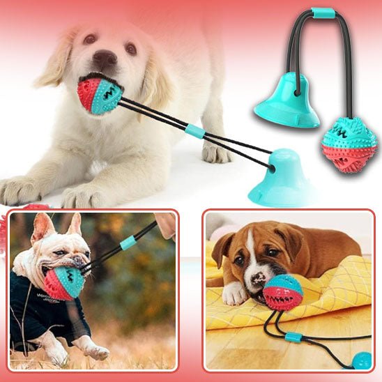 jouet-balle-largebul-chien-blanc