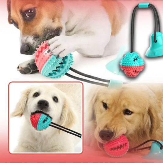 jouet-balle-largebul-chien-jouet