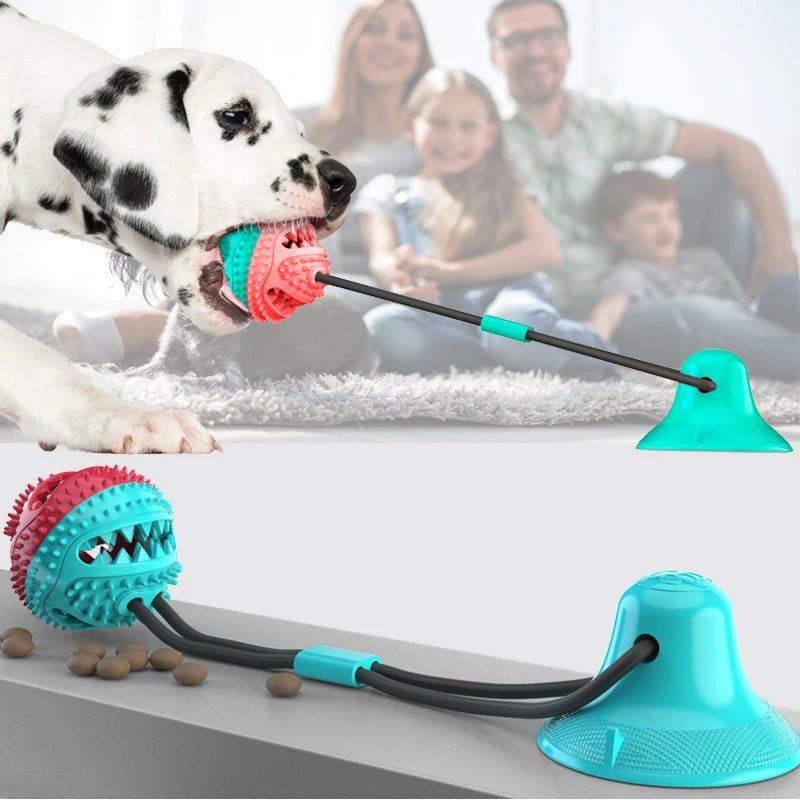 jouet-balle-largebul-chien-noir-blanc