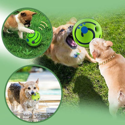jouet-balle-pour-chien-balltoy-chien-joue-ensemble