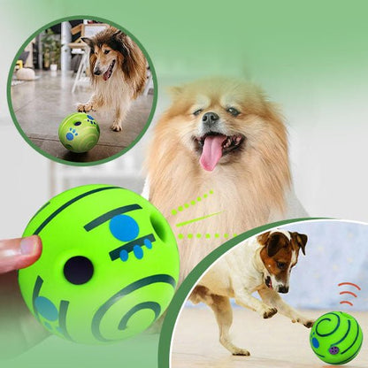 jouet-balle-pour-chien-balltoy-regarde