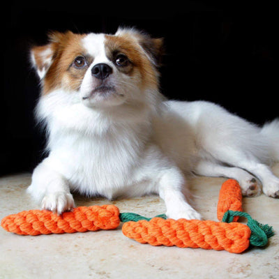 Jouet chien duractif carotte blanc, brun chien