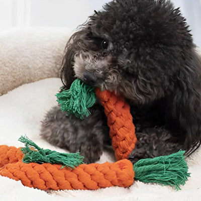 Jouet chien duractif carotte coucher noir chien