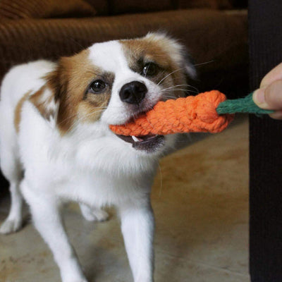 Jouet chien duractif carotte debout blanc chien
