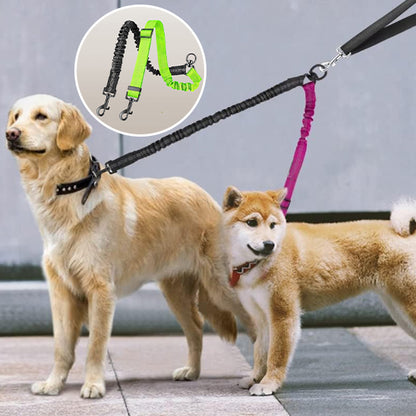 laisse-chien-dogle-rouge-vert-brun-blanc