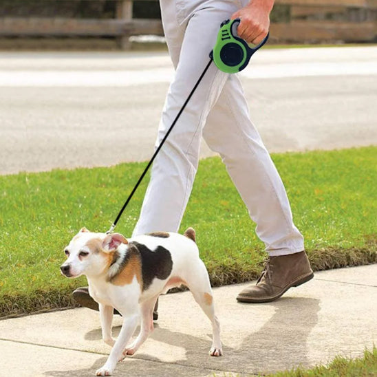 laisse-chien-fox-marche-avec-la-laisse-vert