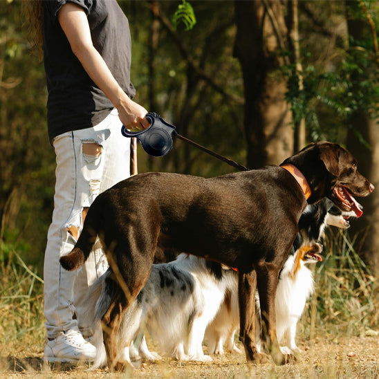 laisse-chien-mich-monsieur-est-debout-avec-la-laisse-noir