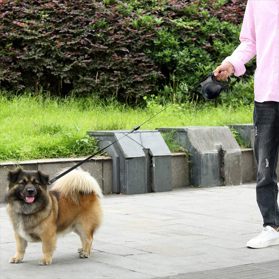 laisse-chien-michk-arreter-avec-la-laisse-noir