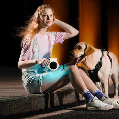 Laisse chien michka blanc, brun debout chien