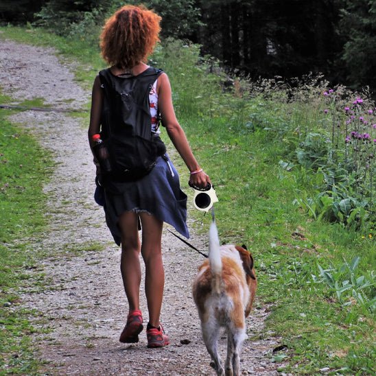laisse-chien-michka-blanc-marcher-chien