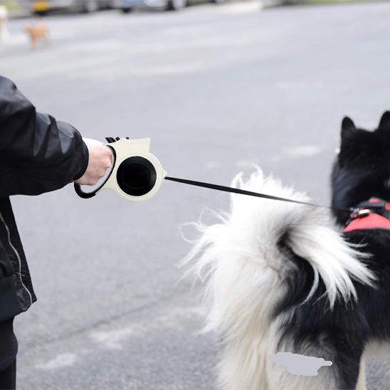 laisse-chien-michka-blanc-noir-chien