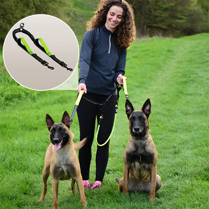 laisse-chien-shortlea-vert-debout-assis-chien