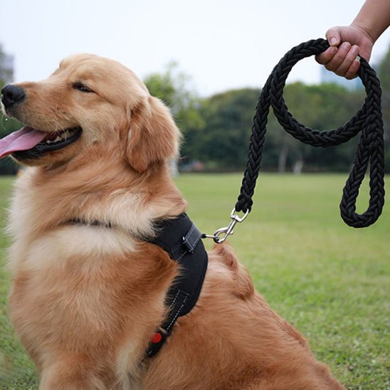 laisse-pour-chien-aigenerator-noir-brun-chien