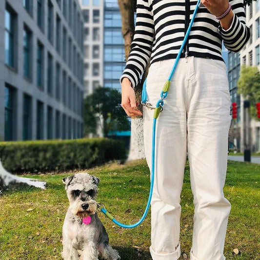 laisse-pour-chien-lead-bleu-chien