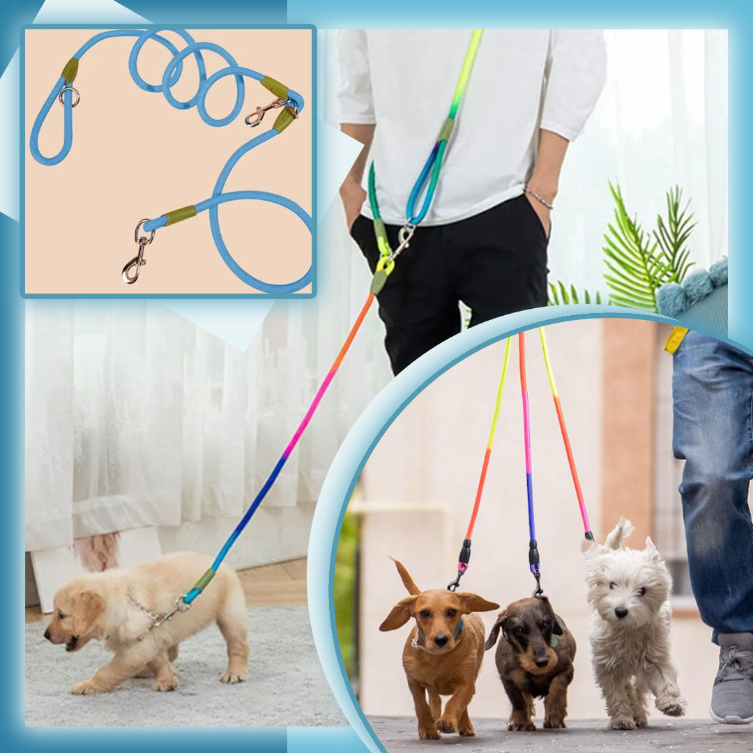 laisse-pour-chien-lead-quatres-chien-avec-la-laisse-multicolore