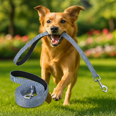 Laisse pour chien leaddog gris Courir chien