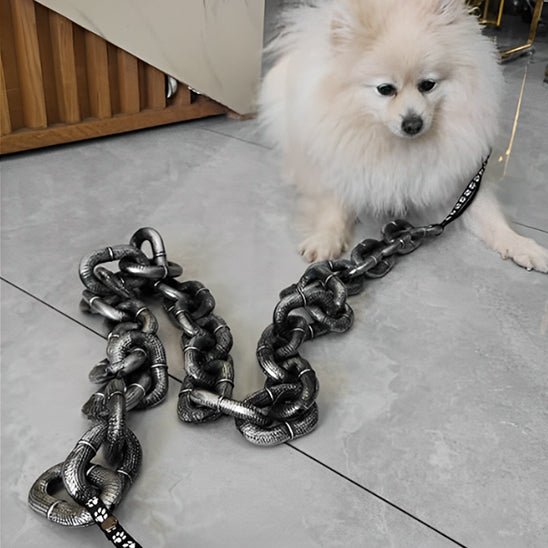 laisse-pour-chien-leashes-assis-creme-chien