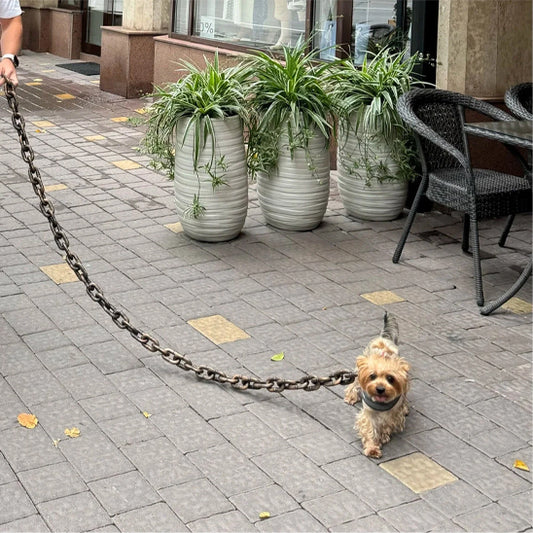 laisse-pour-chien-leashes-courrier-la-laisse-aux-con