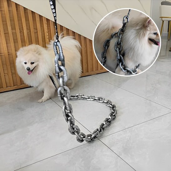 laisse-pour-chien-leashes-petit-chien