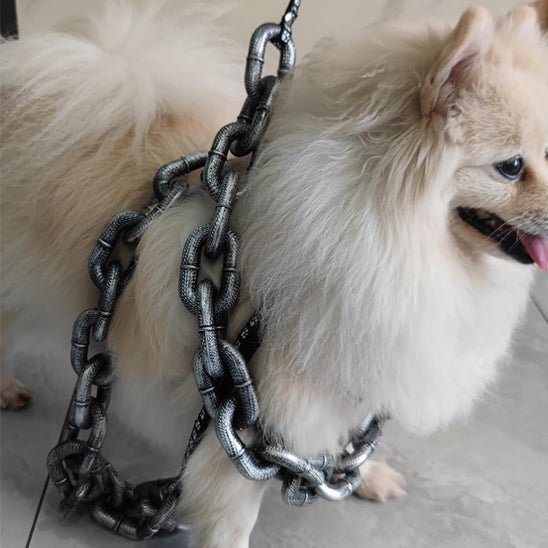 laisse-pour-chien-leashes-petit-creme-chien