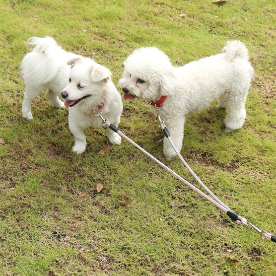 laisses-pour-chien-toctoc-avec-la-laisse-rose