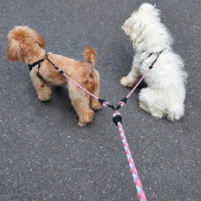 laisses-pour-chien-toctoc-rose-deux-chien