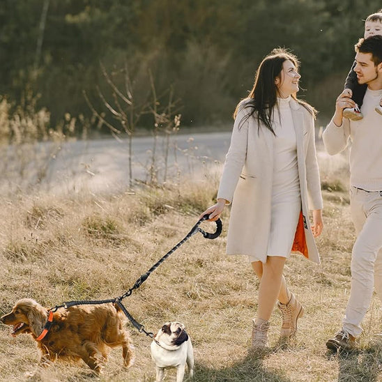 Laisses pour Chien | Zoe™