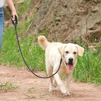 Laisses pour Chien | Zoe™