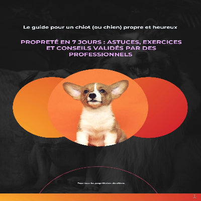 Le guide pour un chiot ou chien propre et heureux