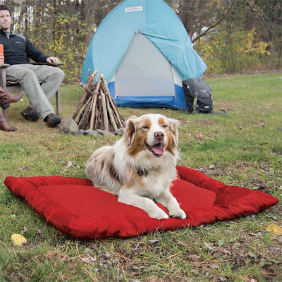 Lit de camp pour chien BedCamp allonger rouge, blanc, chien