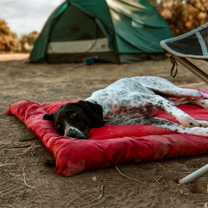 lit-de-camp-pour-chien-bedcamp-rouge-blanc-allonger-chien