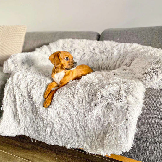lit-pour-chien-for-blanc-brun-chien