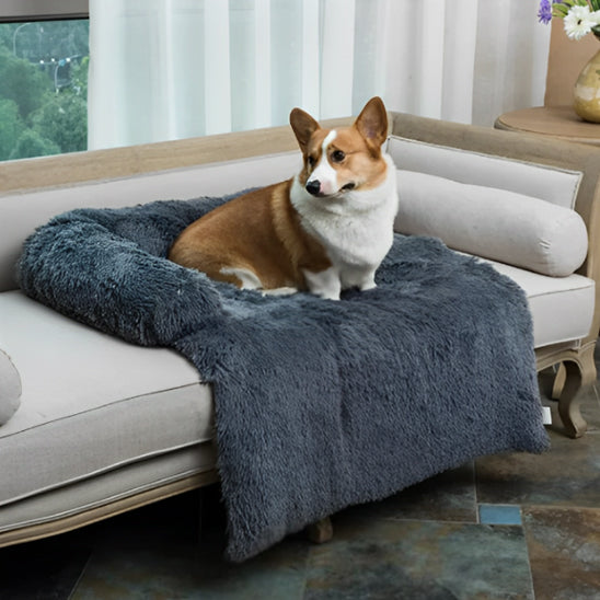 lit-pour-chien-for-gris-fonce-brun-assis-chien