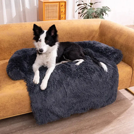 lit-pour-chien-for-gris-fonce-noir-assis-chien