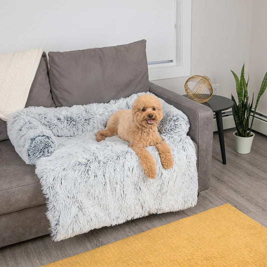 lit-pour-chien-for-gris-pale-coucher-brun-chien