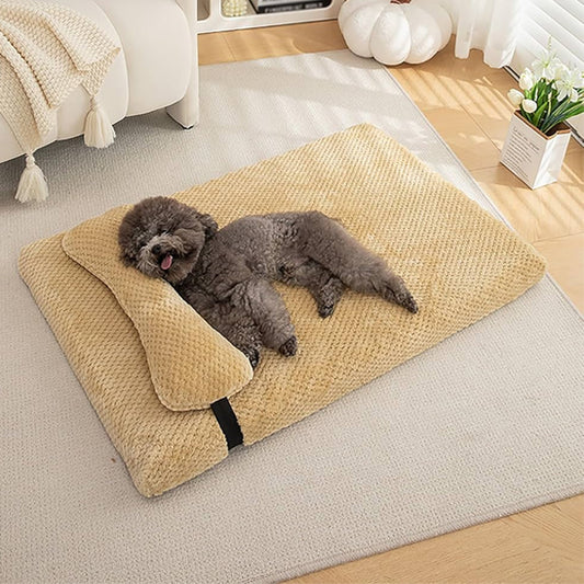 lit-pour-chien-litdog-coucher-jaune-chien