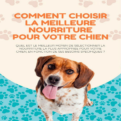Livre numérique comment choisir la meilleure nourriture pour votre chien