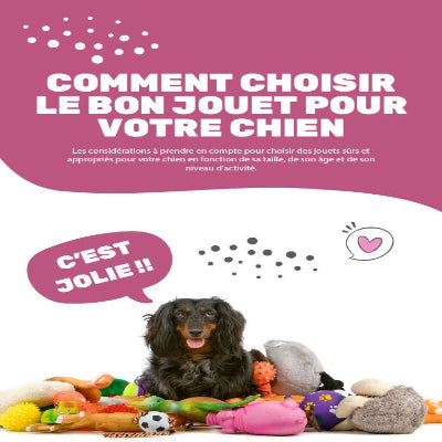 Livre numérique comment choisir le bon jouet pour votre chien jolie