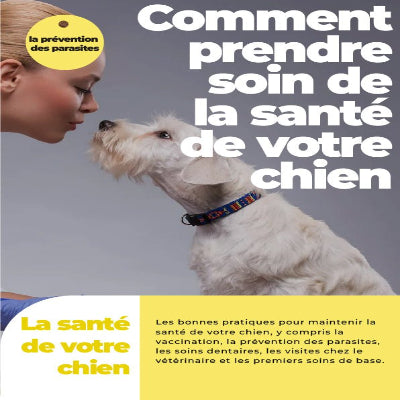 Livre numérique comment prendre soin de la santé de votre chien prévention parasites