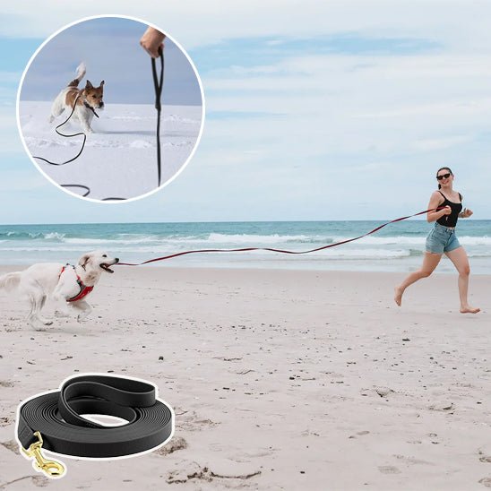 longe-chien-kiwis-noir-blanc-chien