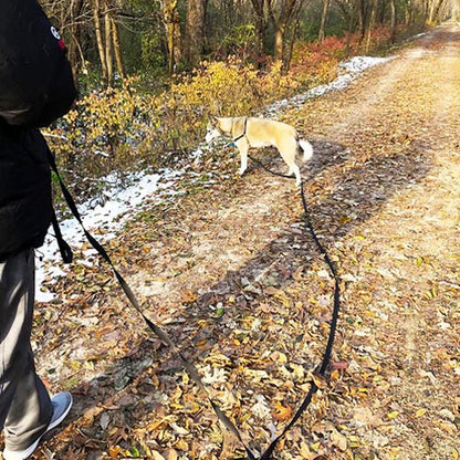 longe-chien-milly-noir-chien
