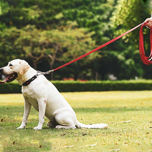 longe-chien-milly-rouge-blanc-chien