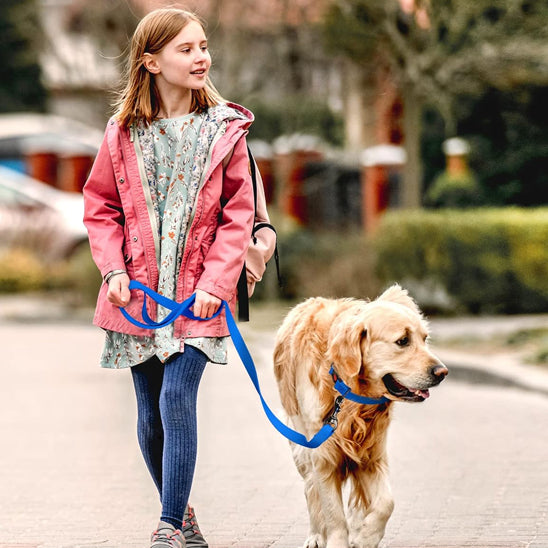 longe-pour-chien-dino-il-marche-avec-la-laisse-bleu