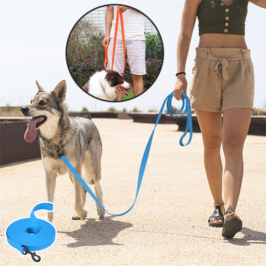 longe-pour-chien-dino-il-marche-avec-laisse-bleu